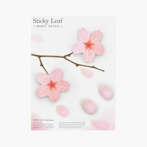 Pink Cherry Blossom