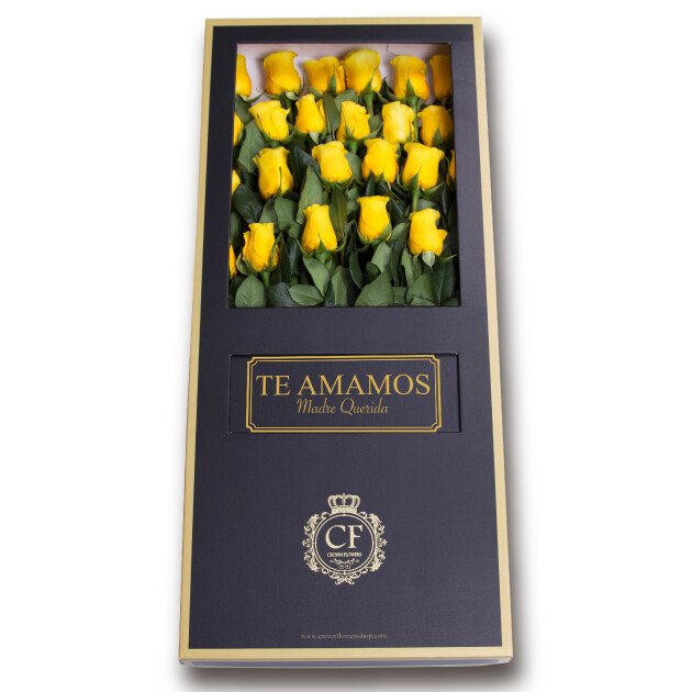 Canaria – Luxury Yellow Roses