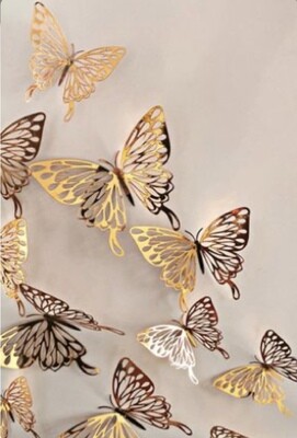 🦋Butterfly SZN🦋