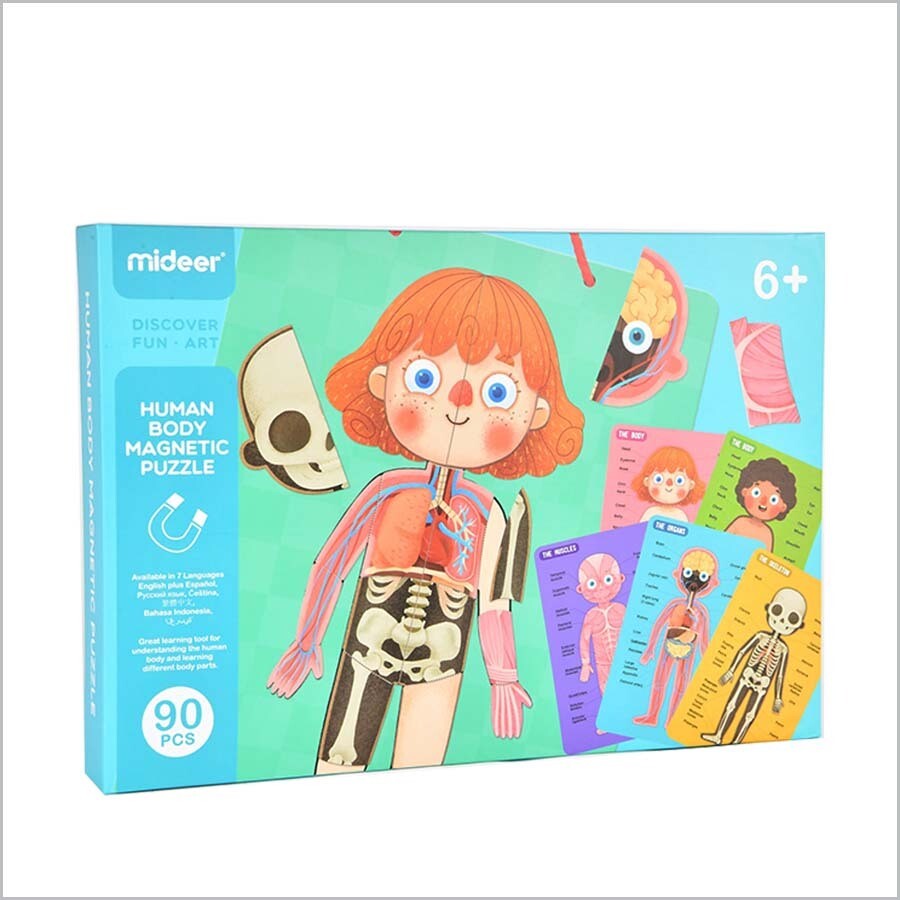 Human Body Magnetic Puzzle 人體磁石拼圖