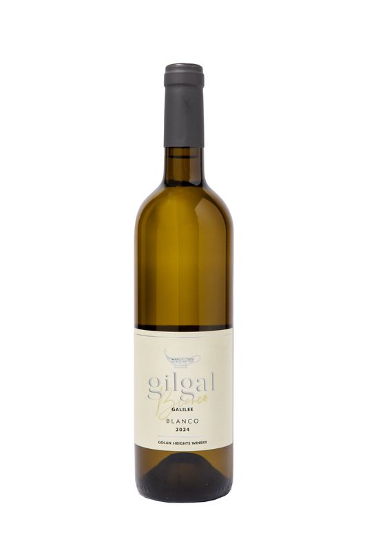 Gilgal Blanco