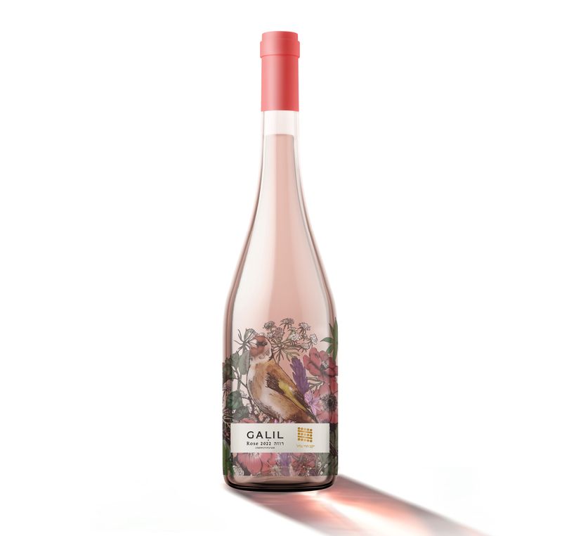Galil Mountain Rose