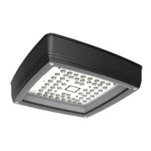 LED Multi-use low Profile Canopy