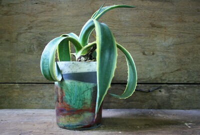 Vaso in ceramica raku bianco, verde e rame craquelé fatto a mano per composizioni floreali senza foro di drenaggio Vaso in ceramica raku bianco, verde e rame craquelé fatto a mano per composizioni floreali senza foro di drenaggio