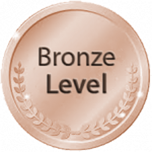 Bronze Corporate Supporter