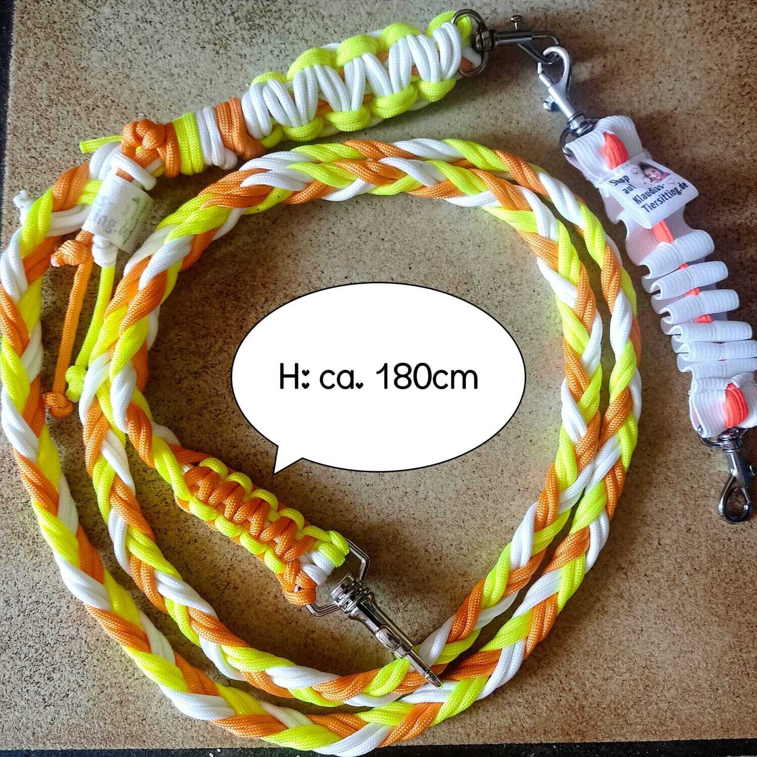 Set 1: Hundeleine &amp; Rückdämpfer (nachtleuchtend)