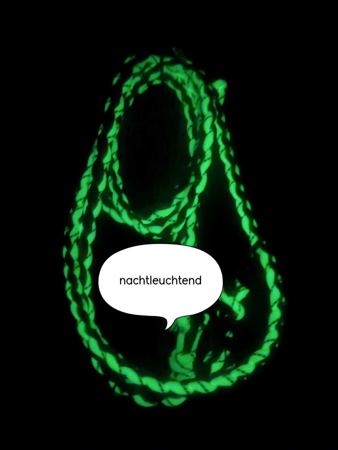 Set 1: Hundeleine &amp; Rückdämpfer (nachtleuchtend)