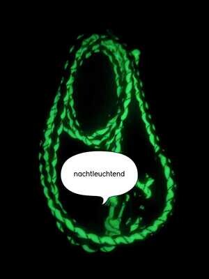 Set 1: Hundeleine &amp; Rückdämpfer (nachtleuchtend)