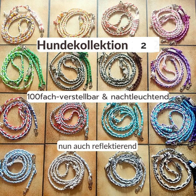 Set 2: Hundeleine &amp; Rückdämpfer (nachtleuchtend &amp; reflektierend)