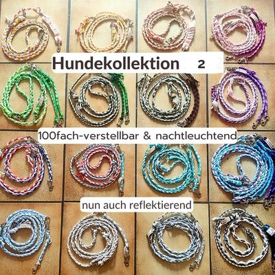 Set 2: Hundeleine &amp; Rückdämpfer (nachtleuchtend &amp; reflektierend)