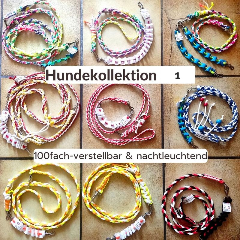 Set 1: Hundeleine &amp; Rückdämpfer (nachtleuchtend)