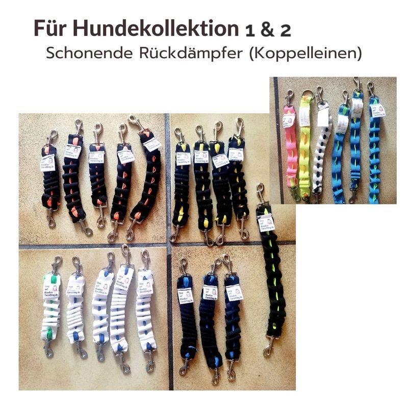 Separate Rückdämpfer für Hundekollektion 1 und 2