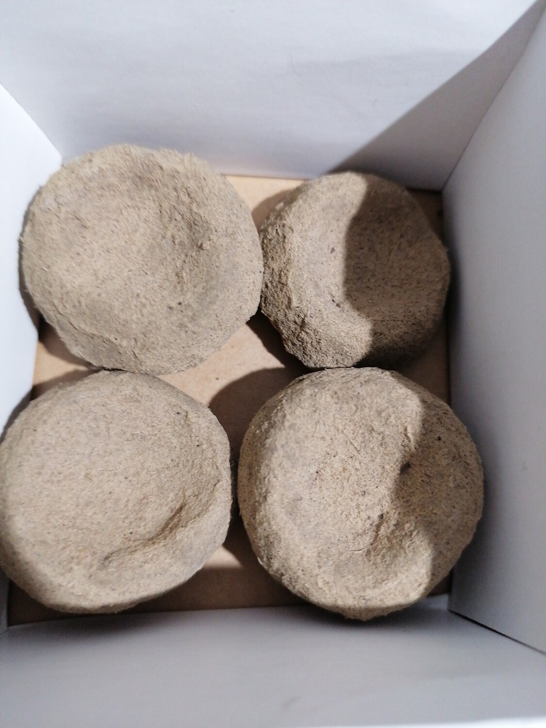 Carbón vegetal