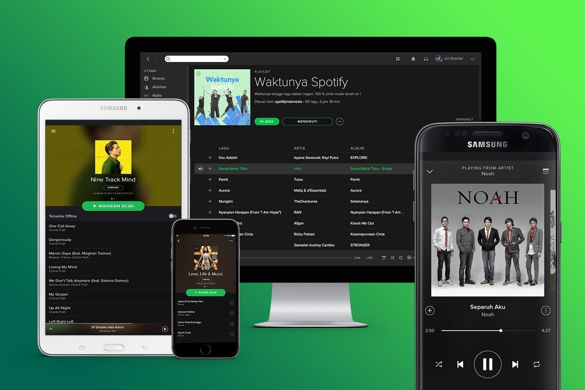 Spotify, Deezer, Tidal, Apple Music 
