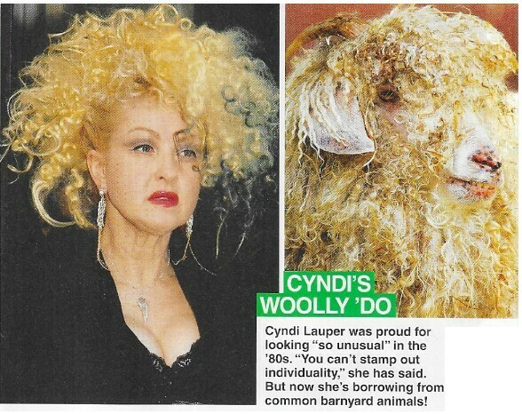 Lauper, Cyndi / Cyndi's Woolly 'Do | 2 Magazine Photos with Caption | March 2010