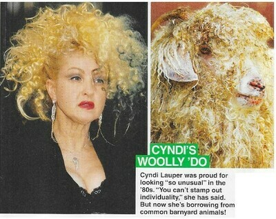 Lauper, Cyndi / Cyndi&#39;s Woolly &#39;Do | March 2010