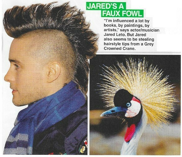 Leto, Jared / Jared's a Faux Fowl | 2 Magazine Photos with Caption | March 2010