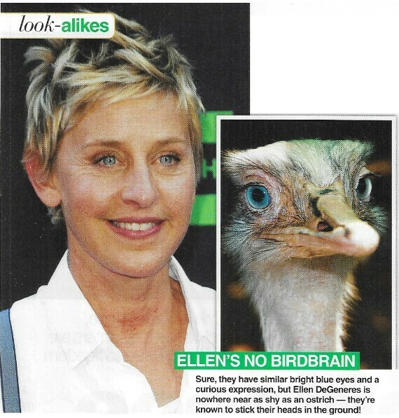 DeGeneres, Ellen / Ellen's No Birdbrain | 2 Magazine Photos with Caption | March 2010