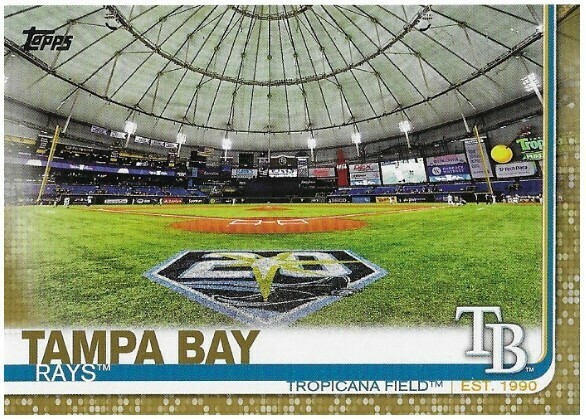 Tropicana Field / 2019 Tampa Bay Rays | Topps #566 | Baseball Trading Card | 2019