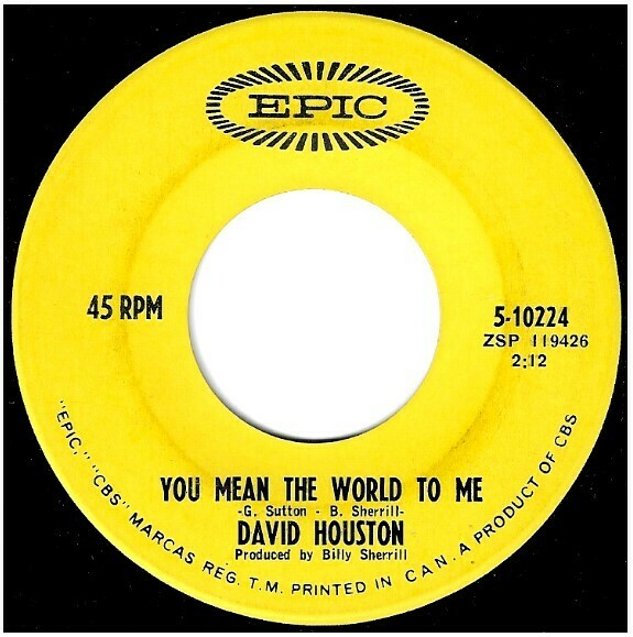 Houston, David / You Mean the World to Me | Epic 5-10224 | Single, 7&quot; Vinyl | August 1967