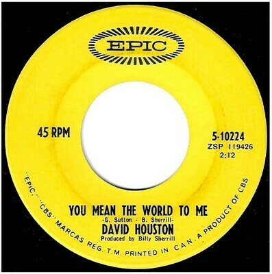 Houston, David / You Mean the World to Me | Epic 5-10224 | Single, 7&quot; Vinyl | August 1967