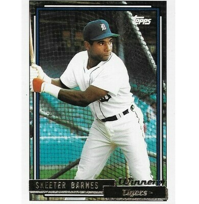 Barnes, Skeeter / Detroit Tigers | Topps #221 | Baseball Trading Card | 1992 | Gold Winners