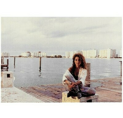 Estefan, Gloria / Sitting On Pier, Miami Skyline in Background | Photo Print