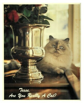 Harrold, D.C. / Tesse, Are You Really a Cat? | Johnson Printing | 1986