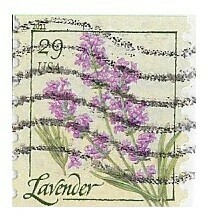 United States / 2011 | Lavender | Herbs | Postage Stamp