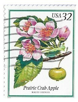 United States / 1998 | Prairie Crab Apple | Flowering Trees Series | Postage Stamp