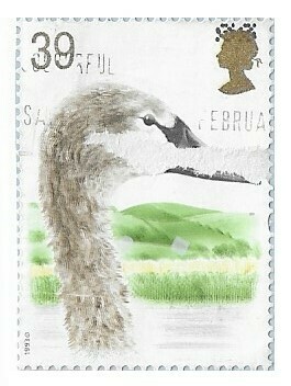 Great Britain / 1993 | Young Mute Swan | Postage Stamp