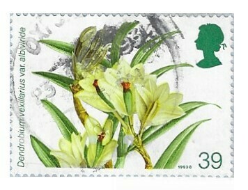 Great Britain / 1993 | Dendobium vexillarius var albivirade | Postage Stamp