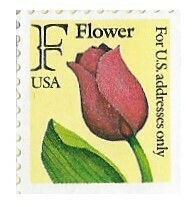 United States / 1991 | &quot;F&quot; Flower (For U.S. Addresses Only) | Postage Stamp