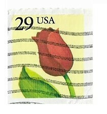 United States / 1991 | Tulip (29￠) | Postage Stamp