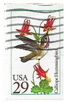 United States / 1992 | Calliope Hummingbird (29￠) | Postage Stamp