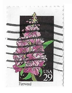 United States / 1992 | Fireweed (29￠) | Postage Stamp