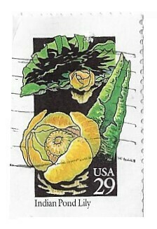 United States / 1992 | Indian Pond Lily (29￠) | Postage Stamp