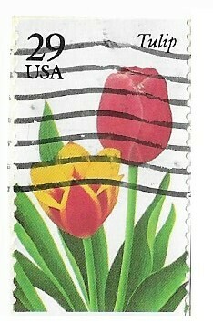 United States / 1993 | Tulip (29￠) | Postage Stamp