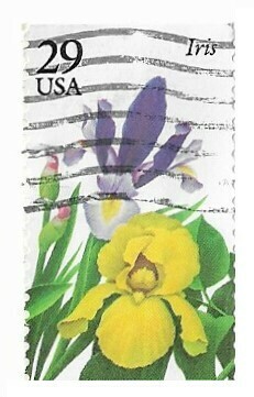 United States / 1993 | Iris (29￠) | Postage Stamp