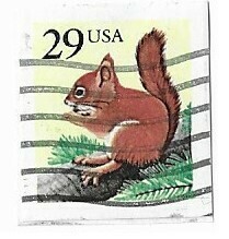 United States / 1993 | Red Squirrel (29￠) | Postage Stamp