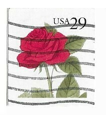 United States / 1993 | Rose (29￠) | Postage Stamp