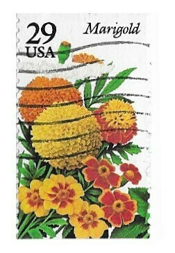 United States / 1994 | Marigold (29￠) | Postage Stamp
