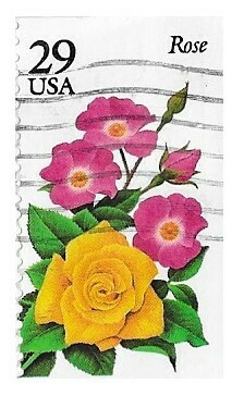 United States / 1994 | Rose (29￠) | Postage Stamp