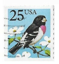 United States / 1988 | Rose-Breasted Grosbeak (25￠) | Postage Stamp
