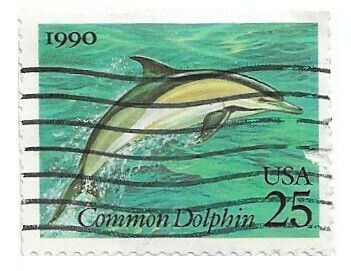 United States / 1990 | Common Dolphin (25￠) | Postage Stamp