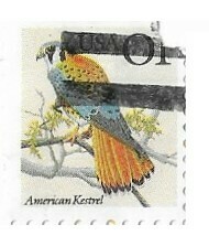 United States / 1991 | American Kestrel (1￠) | Postage Stamp