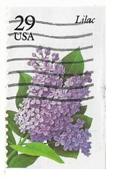 United States / 1993 | Lilac (29￠) | Postage Stamp