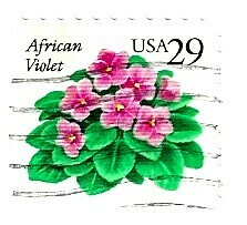 United States / 1993 | African Violet (29￠) | Postage Stamp