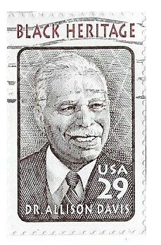 United States / 1994 | Dr. Allison Davis (29￠) | Postage Stamp