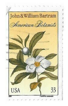United States / 1999 | John + William Bartram - American Botanists (33￠) | Postage Stamp
